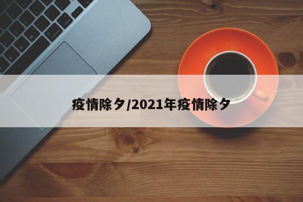 疫情除夕/2021年疫情除夕