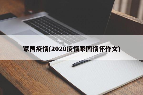 家国疫情(2020疫情家国情怀作文)